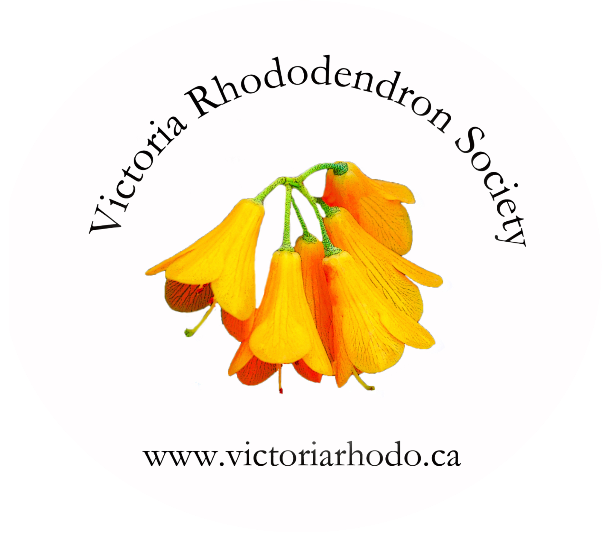 Home - Victoria Rhododendron Society